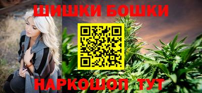 крисы Краснознаменск