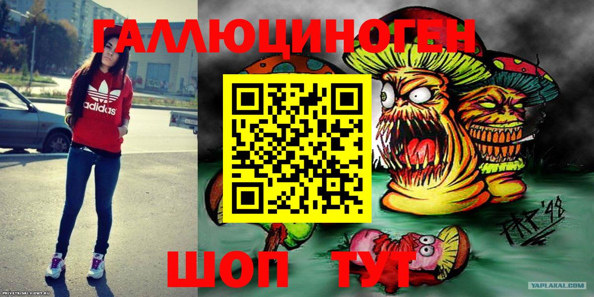 Псилоцибиновые грибы прущие грибы  Псилоцибиновые грибы Psilocybe  Кимовск  Вход с VPN 