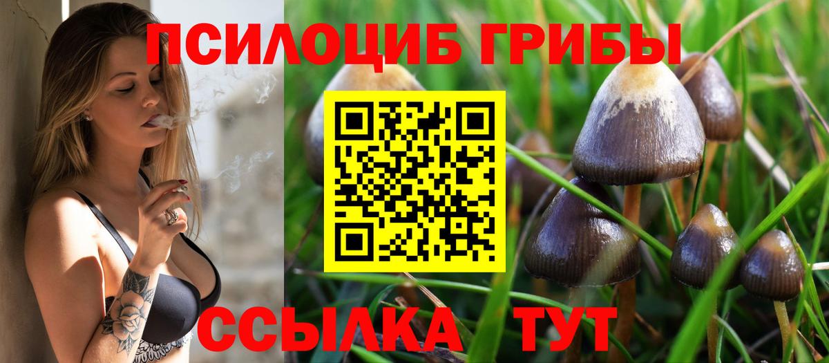 Галлюциногенные грибы мицелий Кимовск